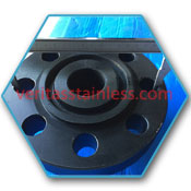 Alloy Steel Forged Flanges