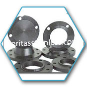Carbon Steel Groove & Tongue Flanges 